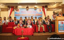 नेपाल क्रिकेट संघ