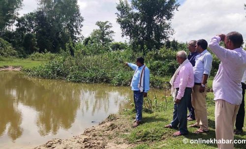 मधेशमा डुबेर एक वर्षमै १५५ जनाको मृत्यु, ८१ बालबालिका