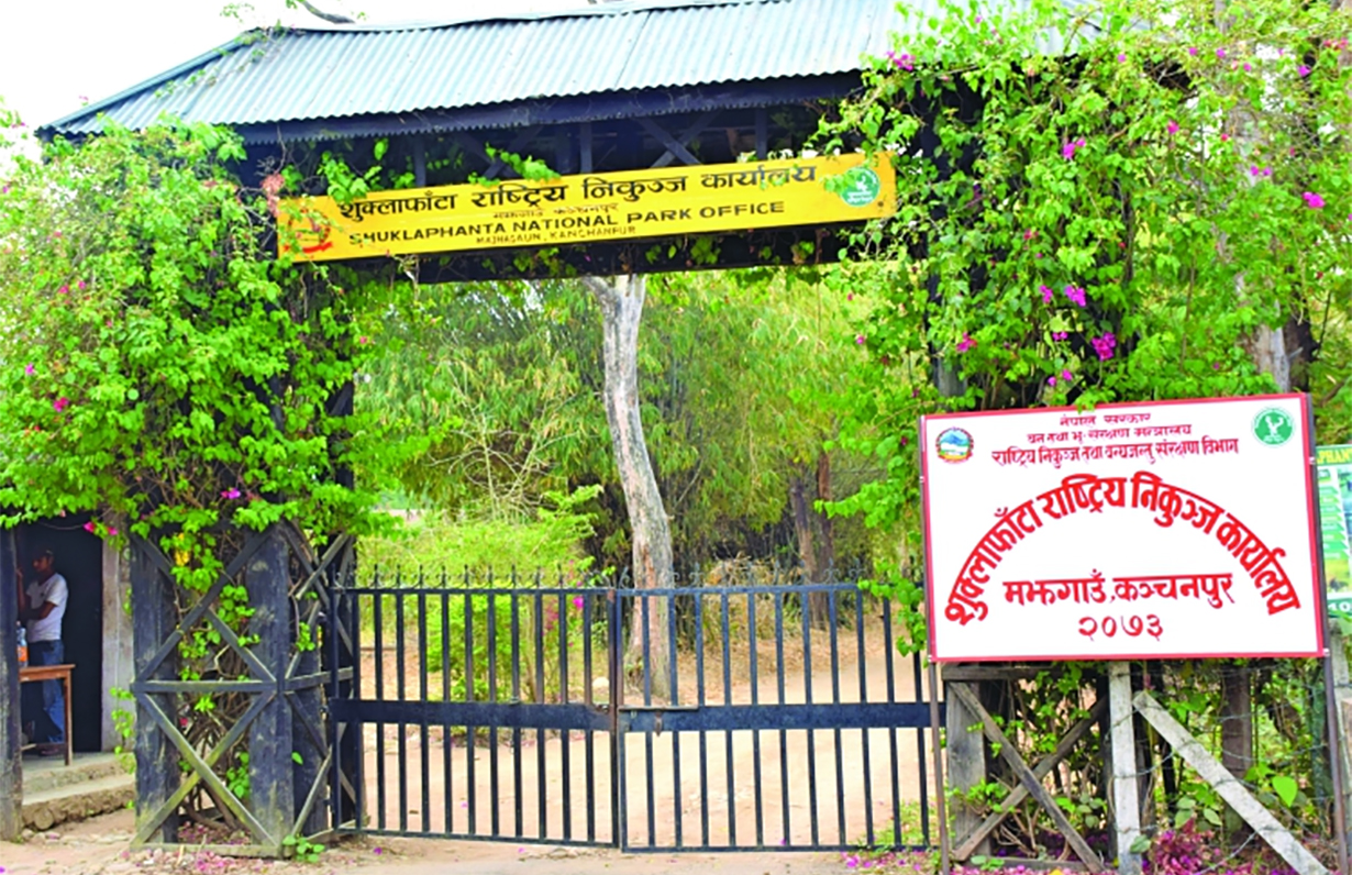 शुक्लाफाँटा राष्ट्रिय निकुञ्जमा बाघ गणनाको तयारी