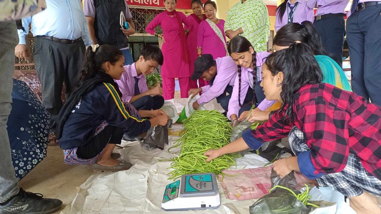 तुलसीपुरमा विद्यार्थी नै बेच्छन् तरकारी