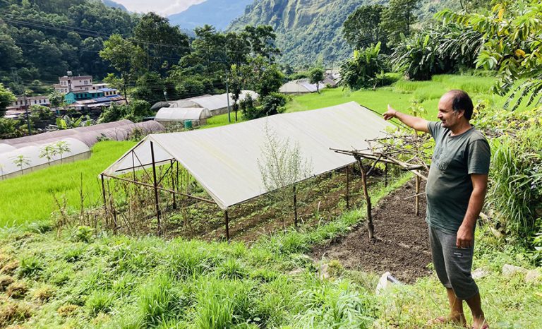 कृषिमा प्रविधिको प्रयोग गरेपछि सापकोटाको आम्दानी दोब्बर