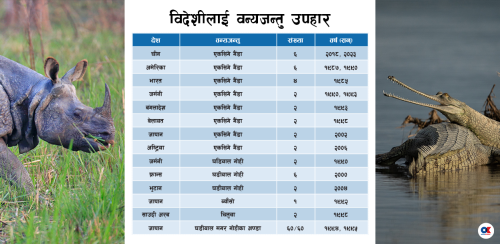 गणतन्त्रमा पनि ‘गैंडा कूटनीति’