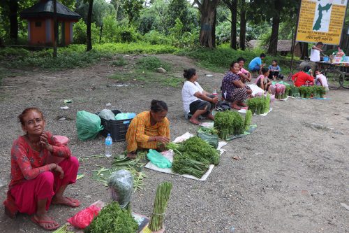 चितवनको पूर्व-पश्चिम राजमार्गमा निहुरो बेचेर घर खर्च