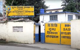 डीडीसी कर्मचारीले अब संस्थानबाट सित्तैँमा दूध-घिउ नपाउने, वार्षिक करिब ३ कराेड जोगिने