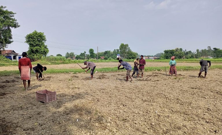 माटोमाथि स्वामित्वको लागि लडिरहेको नयाँ पुस्ता