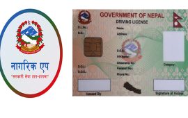नागरिक एपमा देखिन थाल्यो ड्राइभिङ लाइसेन्स
