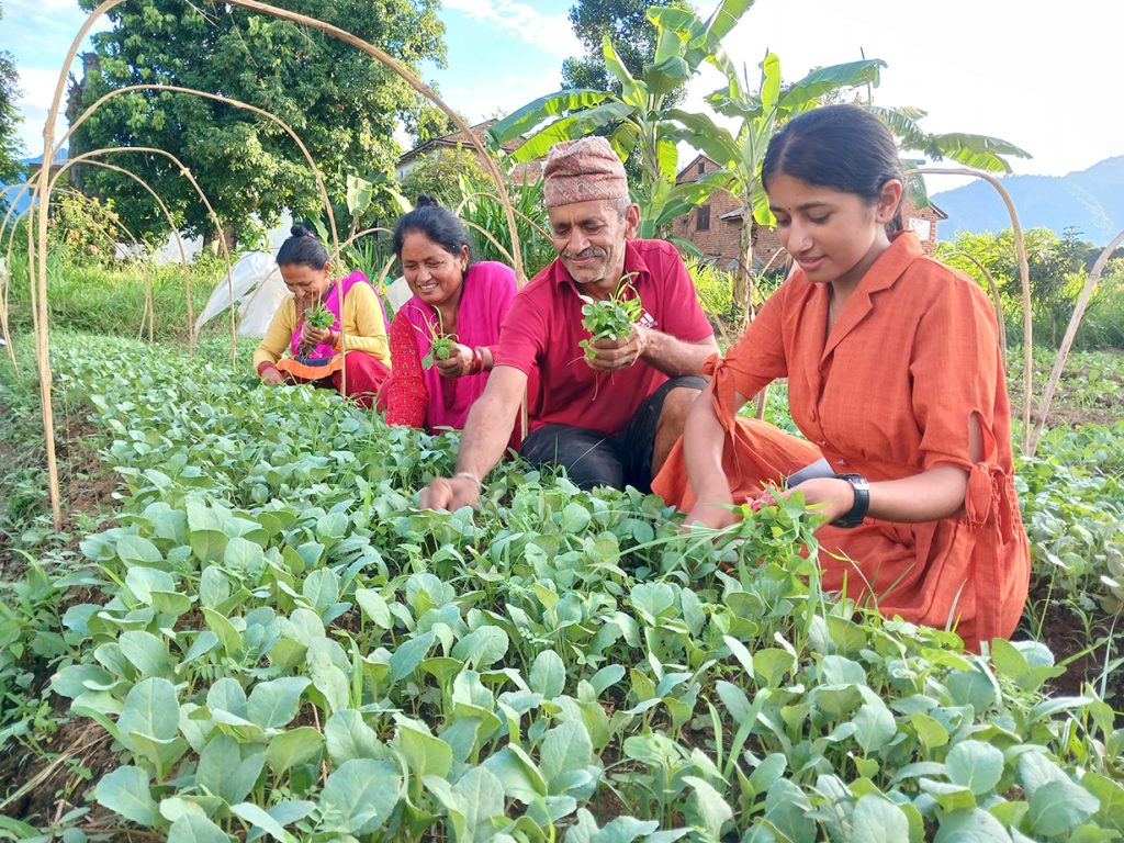 बिरुवा उत्पादनले बदलिएको पहिचान