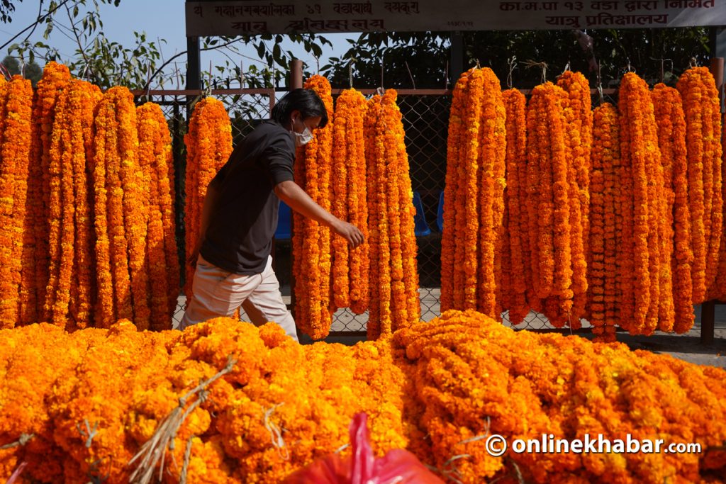 टोलटोलमै पुुगेर फूूल बिक्री गर्दै किसान