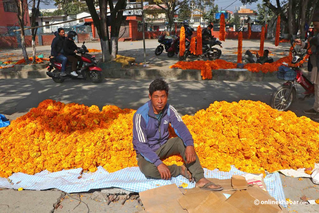 बिकेनन् स्वदेशी फूल, महानगर भन्छ : राम्रो गर्न खोज्दा नराम्रो भयो