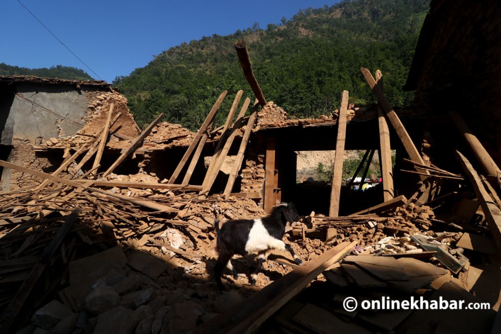 भूकम्प पीडितका अस्थायी आवास निर्माण गर्न सेना-प्रहरी खटाइने