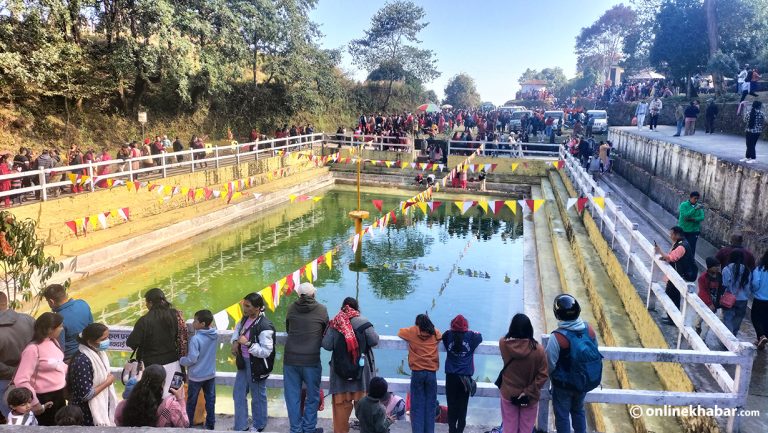 हरिबोधिनी एकादशीमा रेसुङ्गामा पूजा गर्नेको घुइँचो