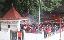 गुल्मी