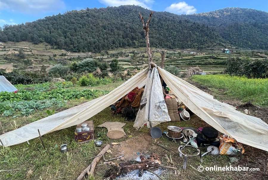 जाजरकोट भूकम्पका लाभग्राही ८० हजार पुग्ने अनुमान