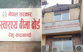 स्वास्थ्य बीमा बोर्ड र अस्पतालको लापरबाहीले मिर्गौला रोगीलाई सास्ती
