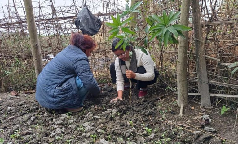 सदस्यको घरमा जन्म र मरण हुँदा लघुवित्तको वृक्षरोपण