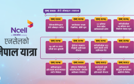 एनसेल डिलको सार्वजनिक ५ तथ्य र अनुत्तरित ८ प्रश्न