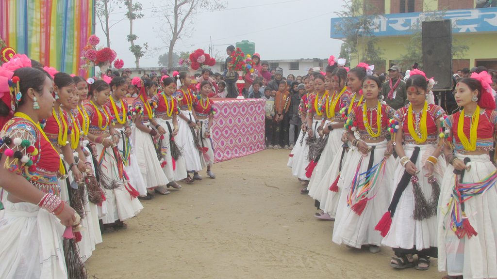 थारू गाउँमा माघीको उल्लास