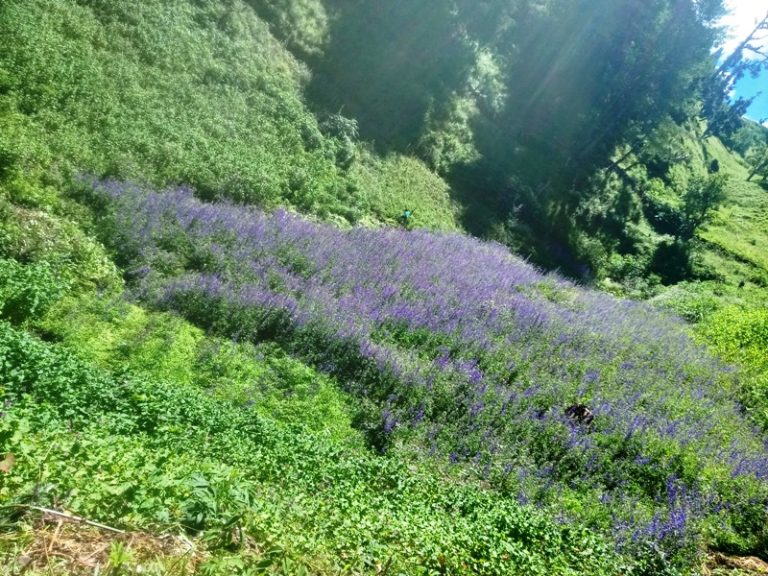 कर्णालीमा आर्थिक वृद्धिका प्रमुख क्षेत्र पर्यटन, कृषि र जडीबुटी