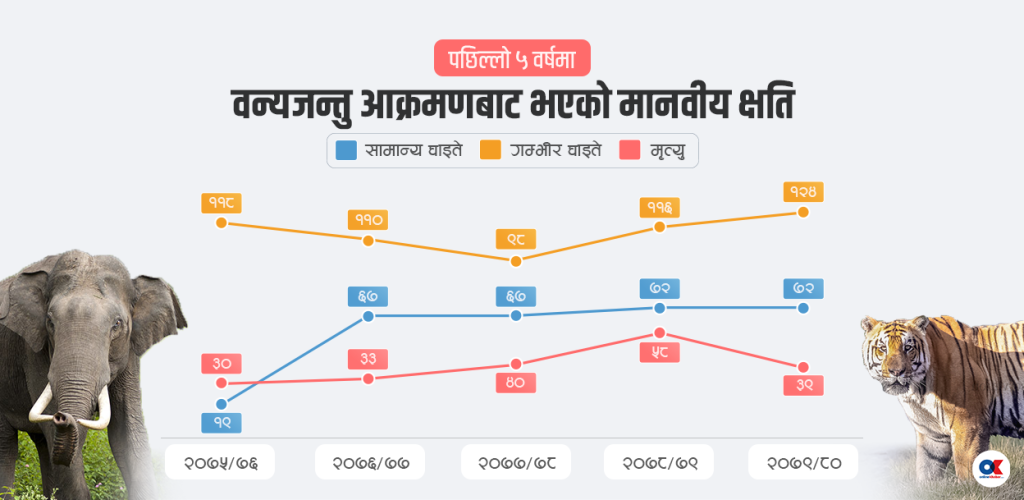 मानव–वन्यजन्तु द्वन्द्व : ५ वर्षमा २०० जनाको मृत्यु, असीमित आर्थिक क्षति