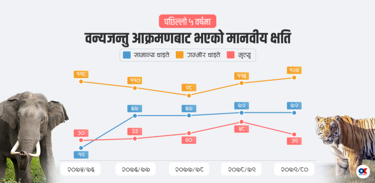 मानव–वन्यजन्तु द्वन्द्व : ५ वर्षमा २०० जनाको मृत्यु, असीमित आर्थिक क्षति