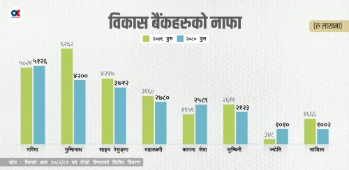 कर्जा ‘रिकभरी’ दबाबमा विकास बैंक, ब्याज आम्दानी घट्दा निष्क्रिय कर्जा बढ्यो