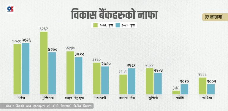 कर्जा ‘रिकभरी’ दबाबमा विकास बैंक, ब्याज आम्दानी घट्दा निष्क्रिय कर्जा बढ्यो