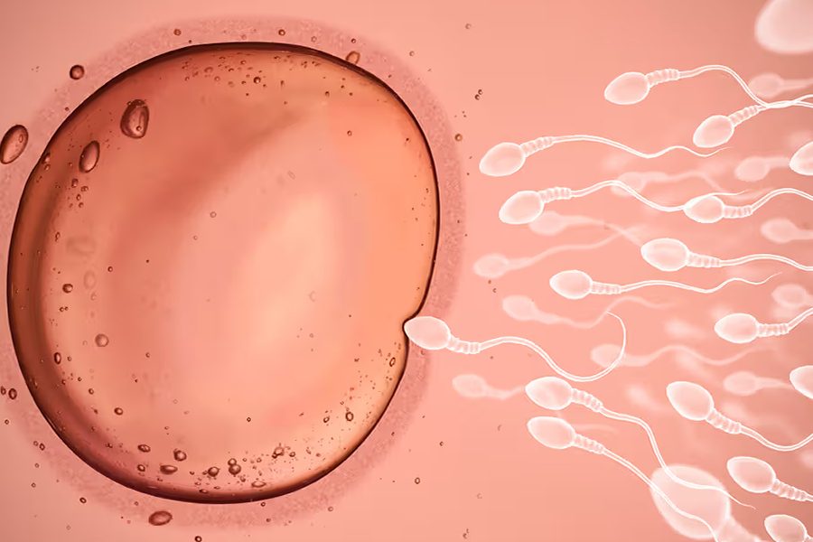 महिलाको डिम्ब कस्तो अवस्थामा स्वस्थ हुन्छ ?