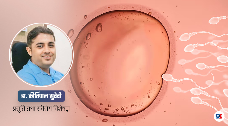 महिलाको डिम्ब कस्तो अवस्थामा स्वस्थ हुन्छ ? – On-line Khabar