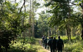 मधेशमा रोकिएन वन अतिक्रमण, फिर्ता ल्याउन सकस