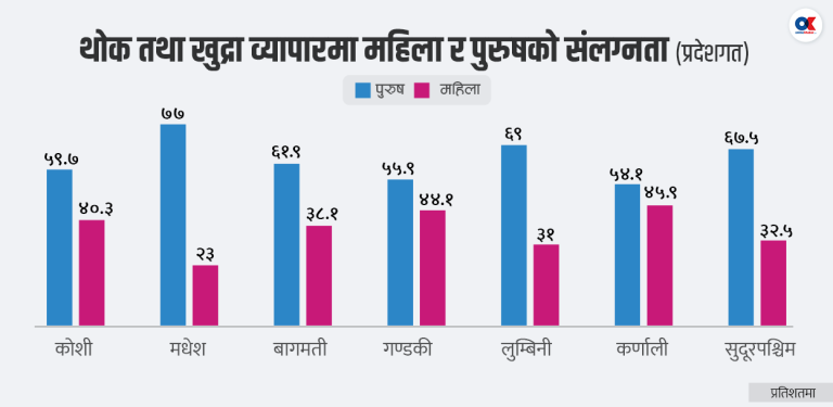 पुरुष वैदेशिक रोजगारीमा, पसल–व्यवसाय धान्छन् महिला