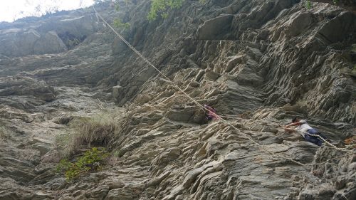 म्याग्दीमा भिर पहराबाट निकाल्न थालियो मह