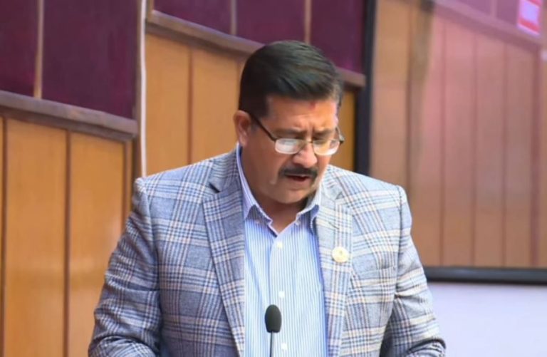 पूर्वराष्ट्रपति-उपराष्ट्रपतिको राजनीतिक सक्रियता उदेक लाग्दो : कांग्रेस सांसद बस्नेत