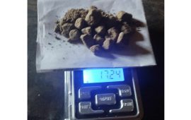 कैलालीमा २० ग्राम खैरो हेरोइनसहित ९ जना पक्राउ