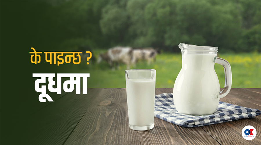 दूध पिउँदा स्वास्थ्यमा फाइदा मात्रै पुग्छ त ? – On-line Khabar