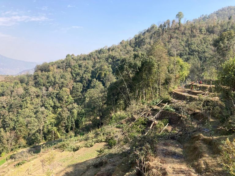 बागलुङमा झाडी फाँडेर सुन्तलाखेती