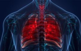 तनहुँमा आठ महिनामा १८३ क्षयरोगी उपचार गर्न आए