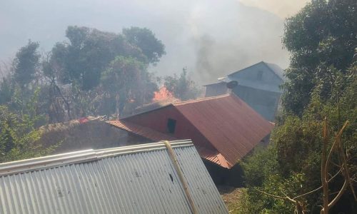 वन र बस्तीमा डढेलो सल्कियो : सरकार बल्ल ब्युँझियाे