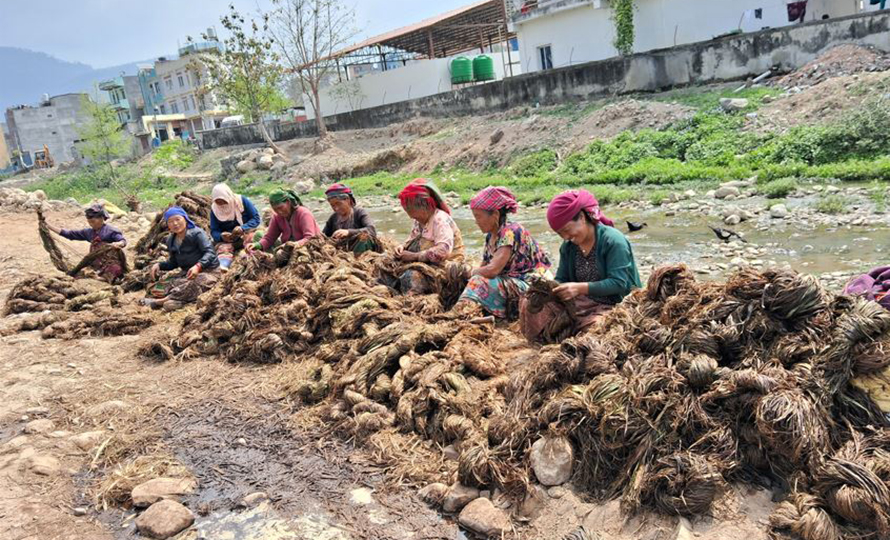 अल्लो उद्योगबाट ३५ महिलालाई रोजगारी, वर्षमा ५ लाख आम्दानी