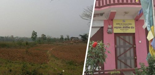 मयूरधाप औद्योगिक क्षेत्रको जग्गा वनको कब्जामा