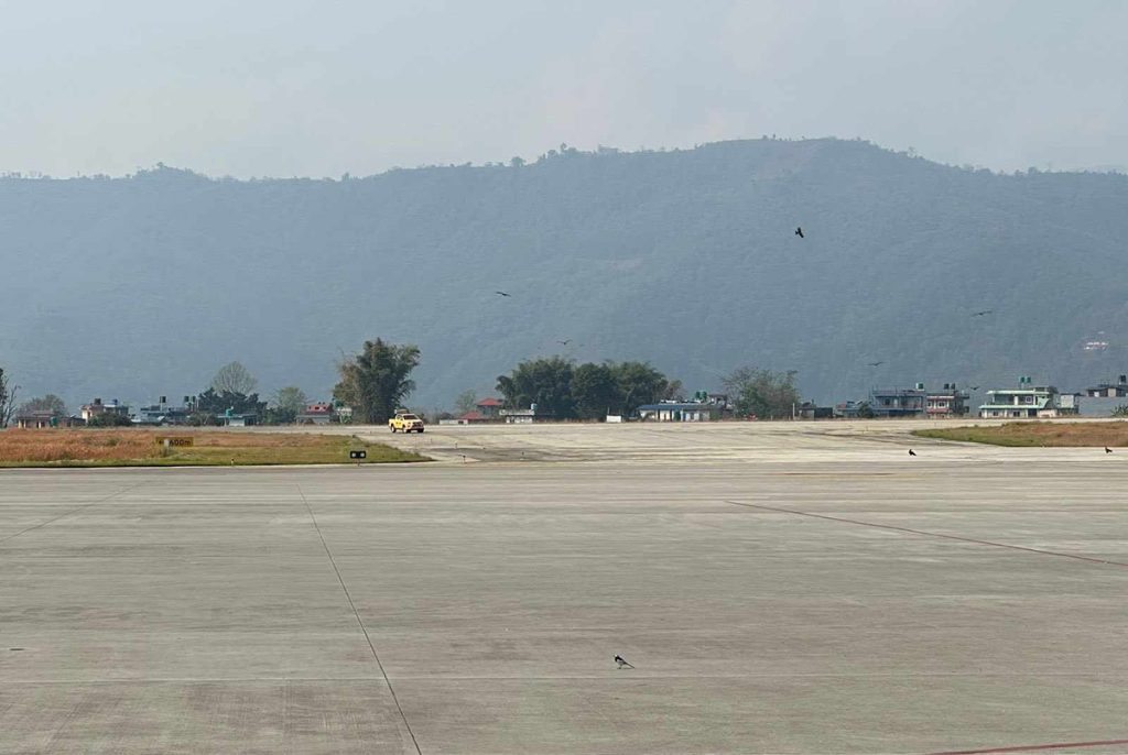 पोखरा अन्तर्राष्ट्रिय विमानस्थलमा चराको बथान, उडान–अवतरण प्रभावित