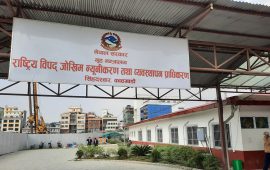 पछिल्लो २४ घण्टामा देशभर २० विपद्का घटना, आठ जना घाइते