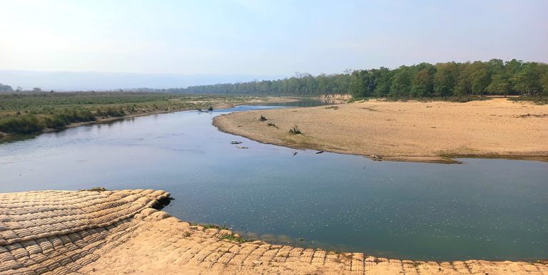 नदी प्रदूषण निकुञ्जको पारिस्थितिकीय प्रणालीकै लागि जोखिम