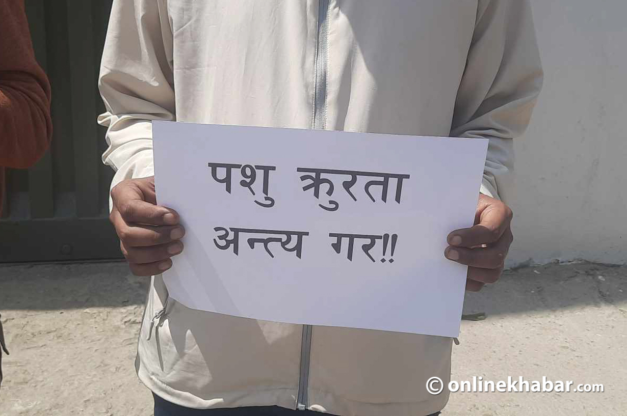बाघ संरक्षणको माग गर्दै काठमाडौंमा पशुअधिकारकर्मीको प्रदर्शन बाघ संरक्षणको माग गर्दै काठमाडौंमा पशुअधिकारकर्मीको प्रदर्शन
