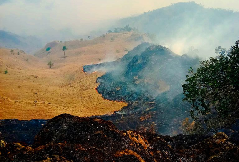 बागलुङमा ३८ वनमा आगलागी, हावाहुरीले नियन्त्रणमा ल्याउनै धौधौ  