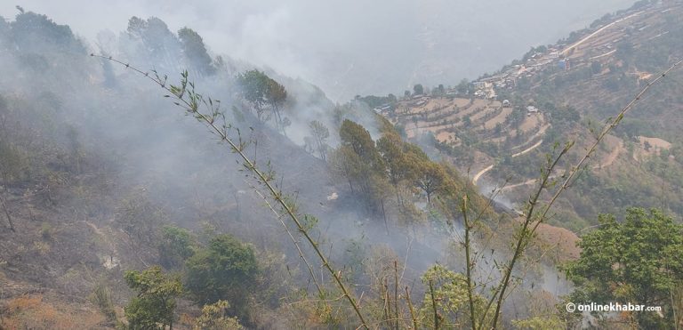 गुल्मीमा आगो निभाउने क्रममा १ जनाको मृत्यु, १ घाइते