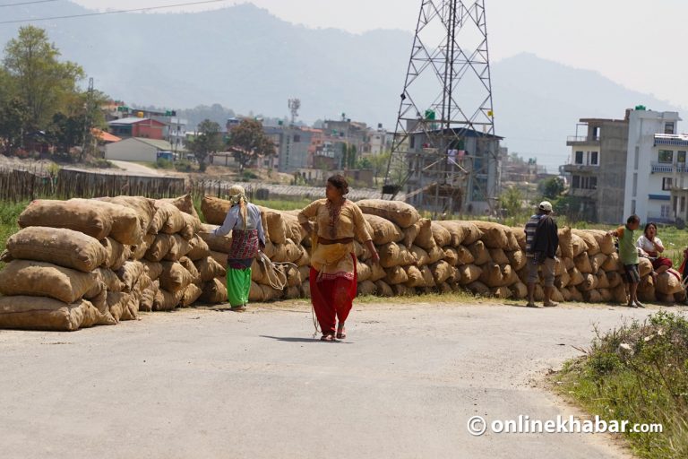 कहिलेसम्म बन्ला नेपाल आलु उत्पादनमा आत्मनिर्भर ?