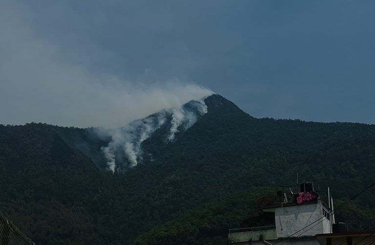 रेसुङ्गा वनमा भीषण आगलागी