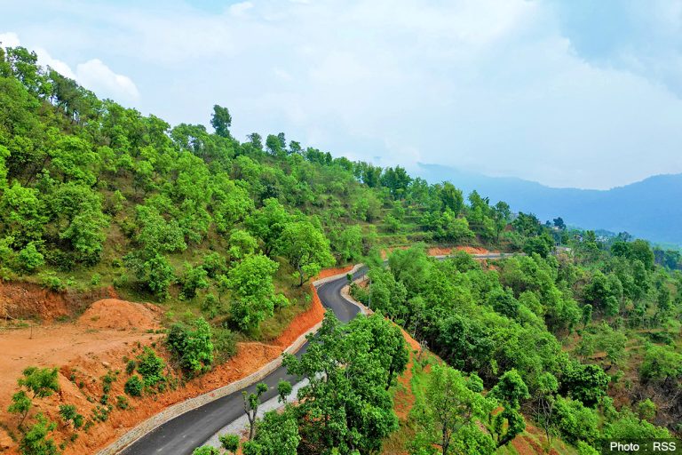 सालका रूख काट्न अनुमति : नाम किसानको, लाभ व्यापारीलाई