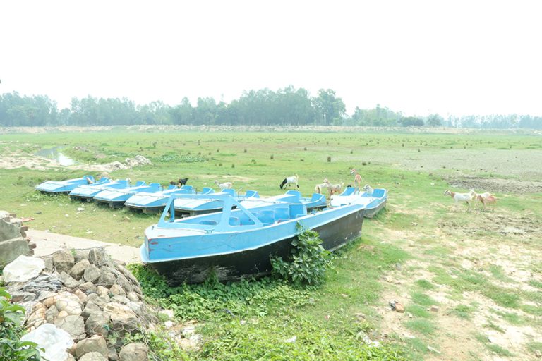 सर्लाहीको पर्यटकीय नाढिमन ताल गौचरनमा परिणत