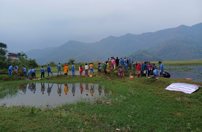 बर्खा नलाग्दै फेवातालको जलकुम्भी फाल्ने अभियानमा पोखरा